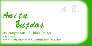 anita bujdos business card